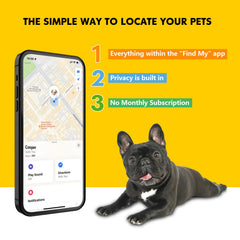 BOMERAHE live tracking dog location map demonstrating real-time monitoring