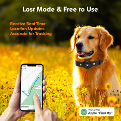 BOMERAHE location history dog tracker illustrating past routes and activity