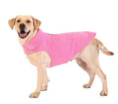 BONAWEN fleece dog coat pink on a dog, warm winter protection for chilly walks.