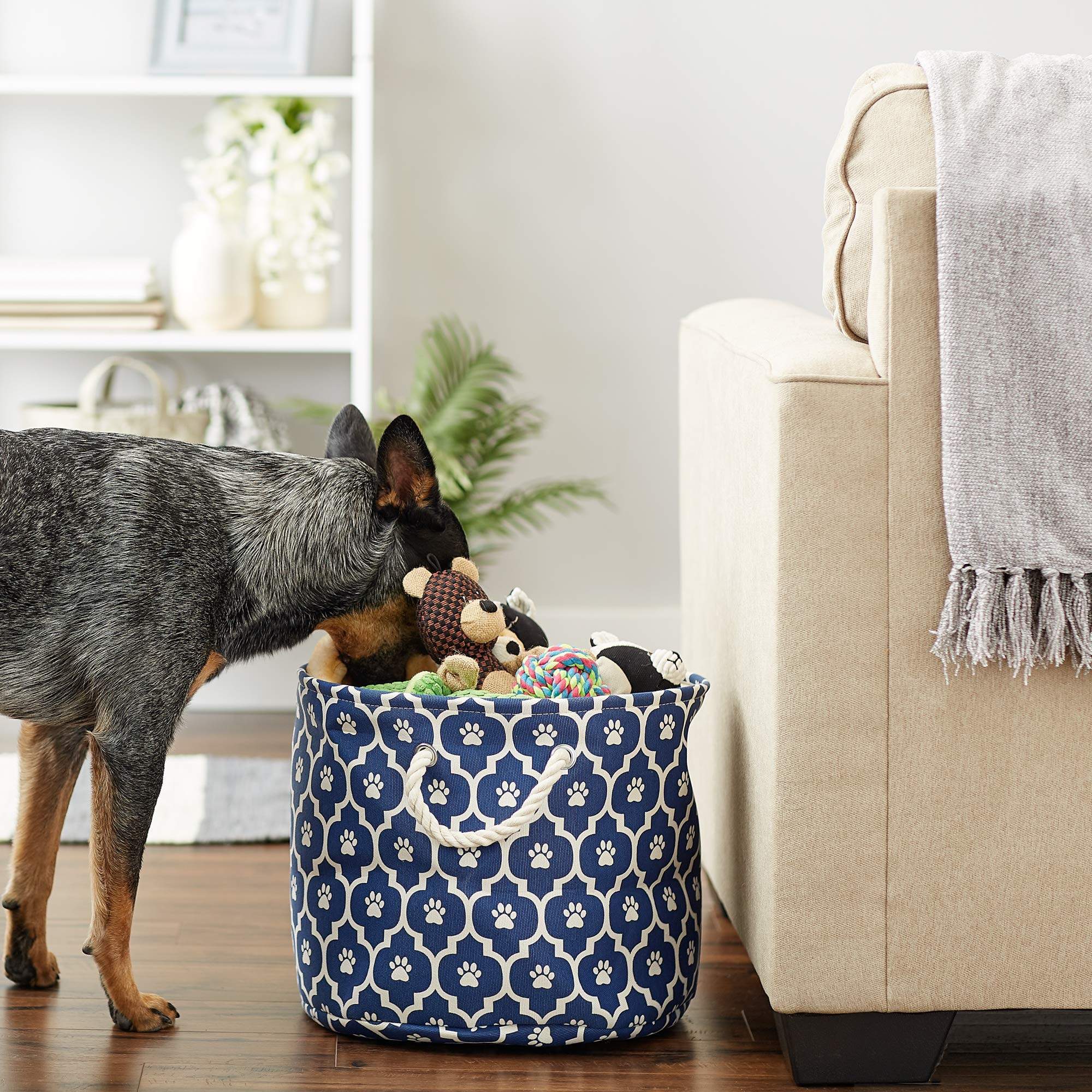 Bone Dry 6192 lattice-paw-print design adds decorative charm while storing items