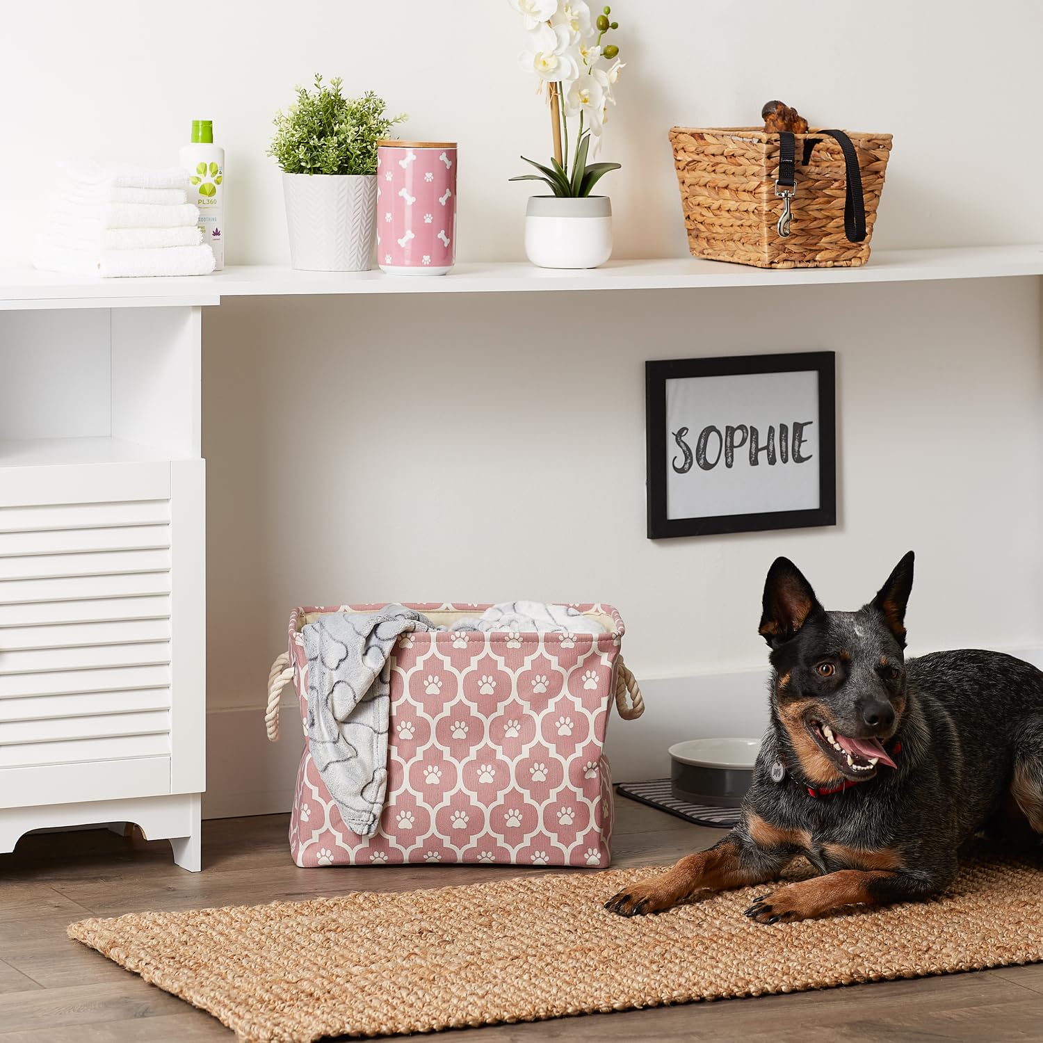 Bone Dry 6192 lattice paw print rose texture detail emphasizes decorative yet practical storage