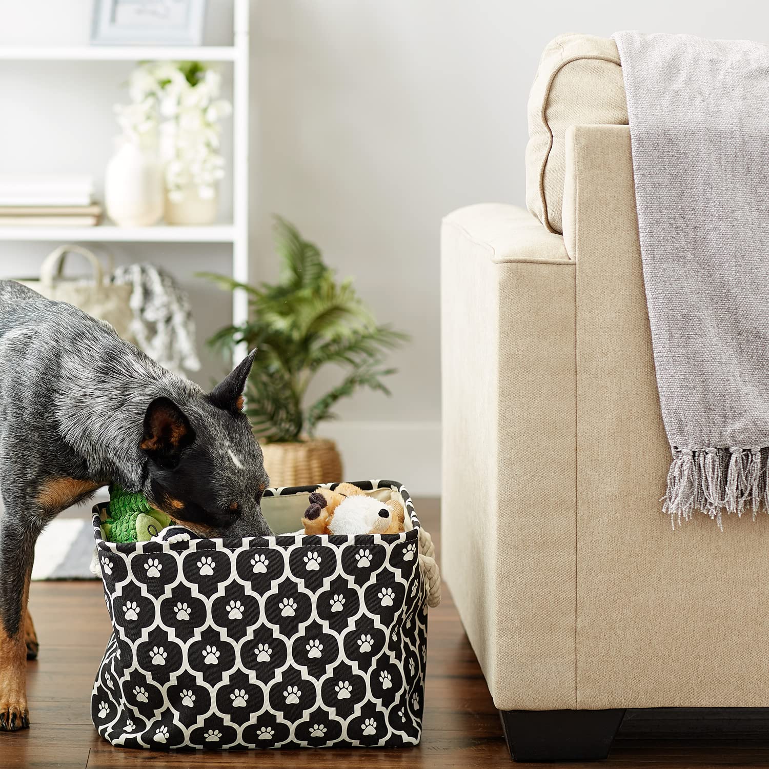 Bone Dry 6192 pet storage ideas in use showing organized leashes and toys.