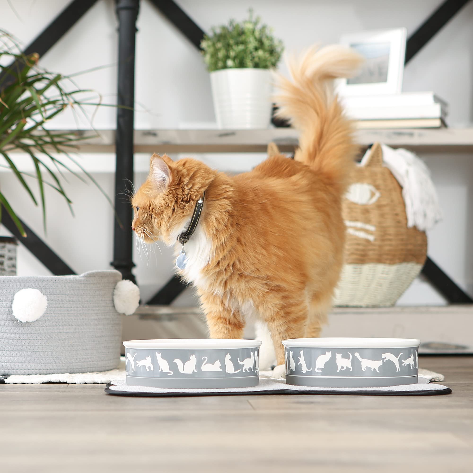 Bone Dry cat bowls gray lattice design adds stylish, durable dining for pets.