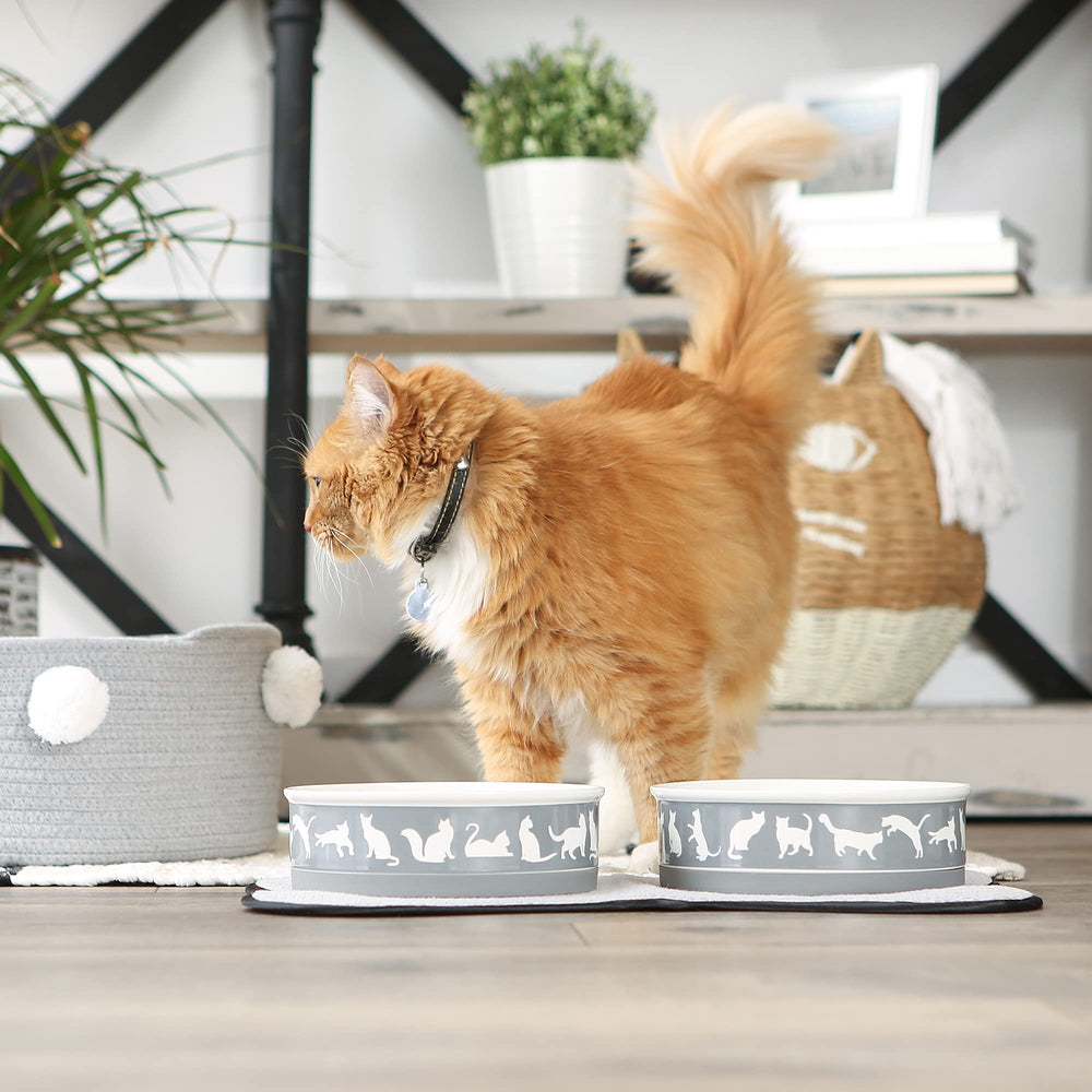 Bone Dry cat bowls gray lattice design adds stylish, durable dining for pets.