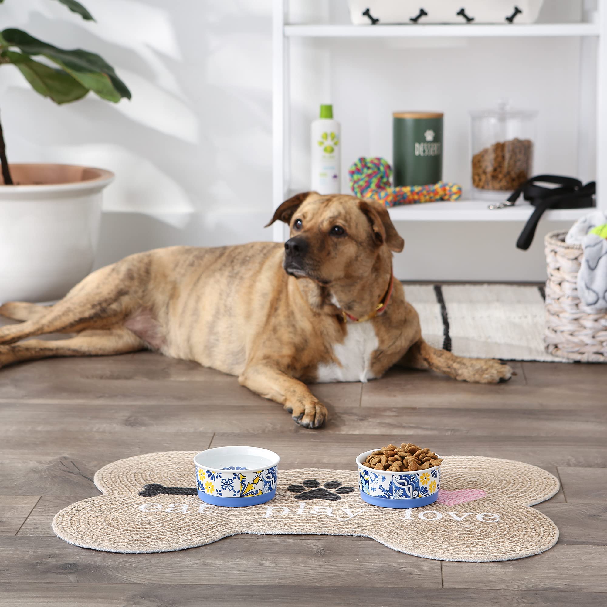 Bone Dry ceramic bowls labeled dishwasher-safe for easy cleanup after meals.