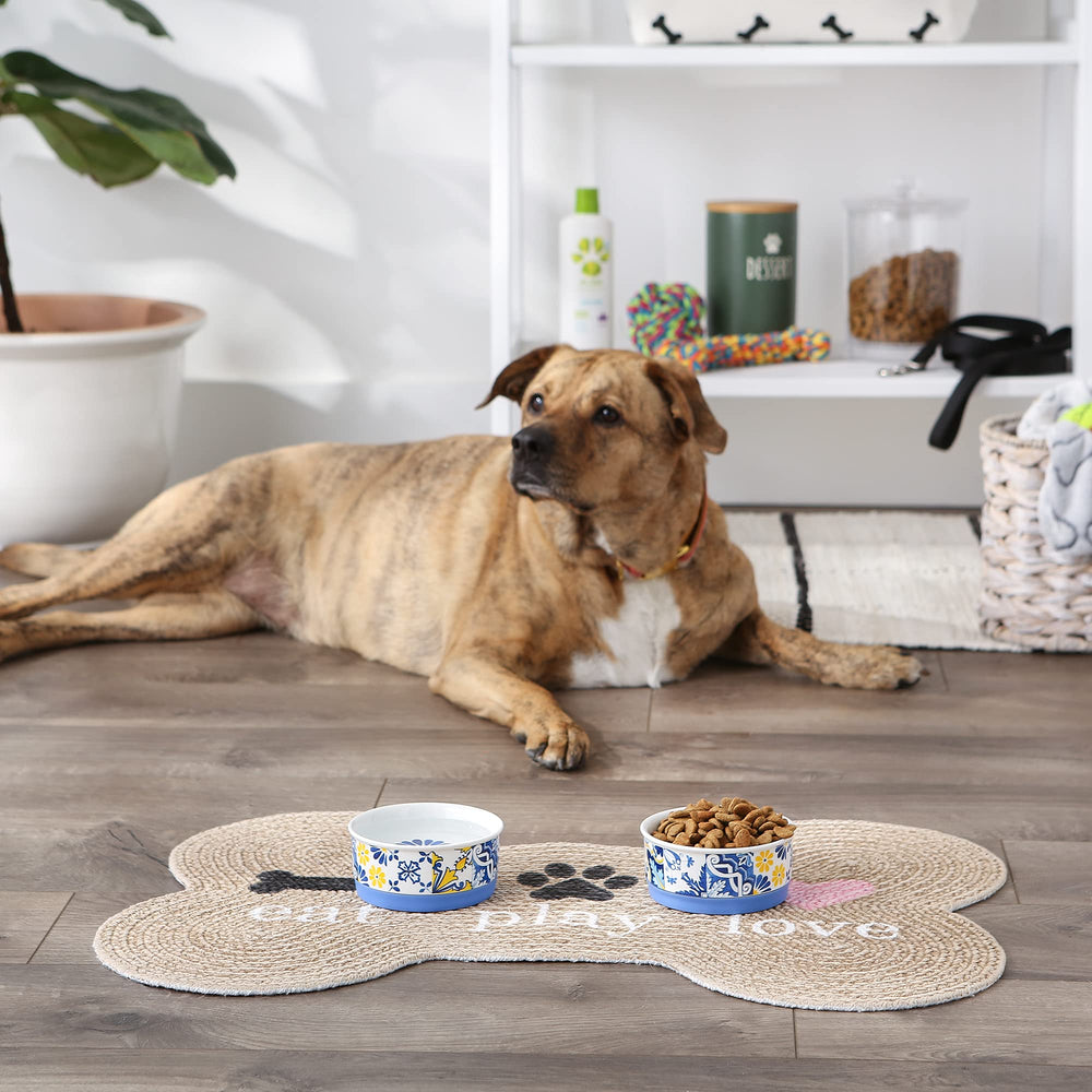 Bone Dry ceramic bowls labeled dishwasher-safe for easy cleanup after meals.