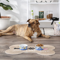 Bone Dry ceramic bowls labeled dishwasher-safe for easy cleanup after meals.