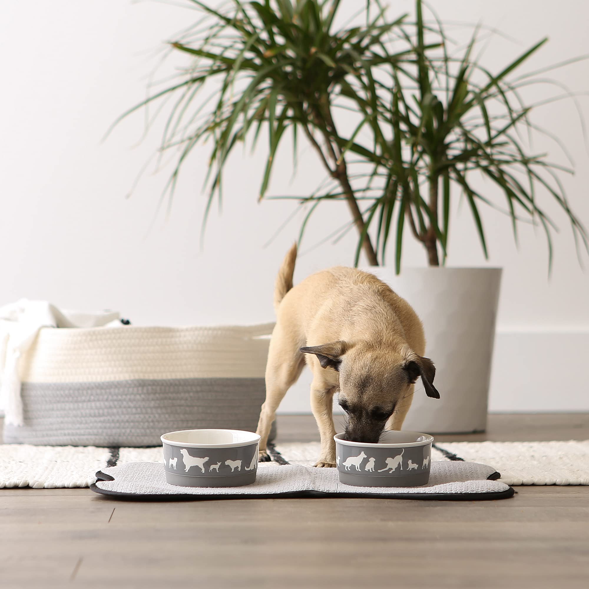 Bone Dry dog bone ceramic bowl gray dishwasher safe for easy cleaning