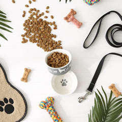 Bone Dry dog bone ceramic bowl gray non-slip base for secure feeding