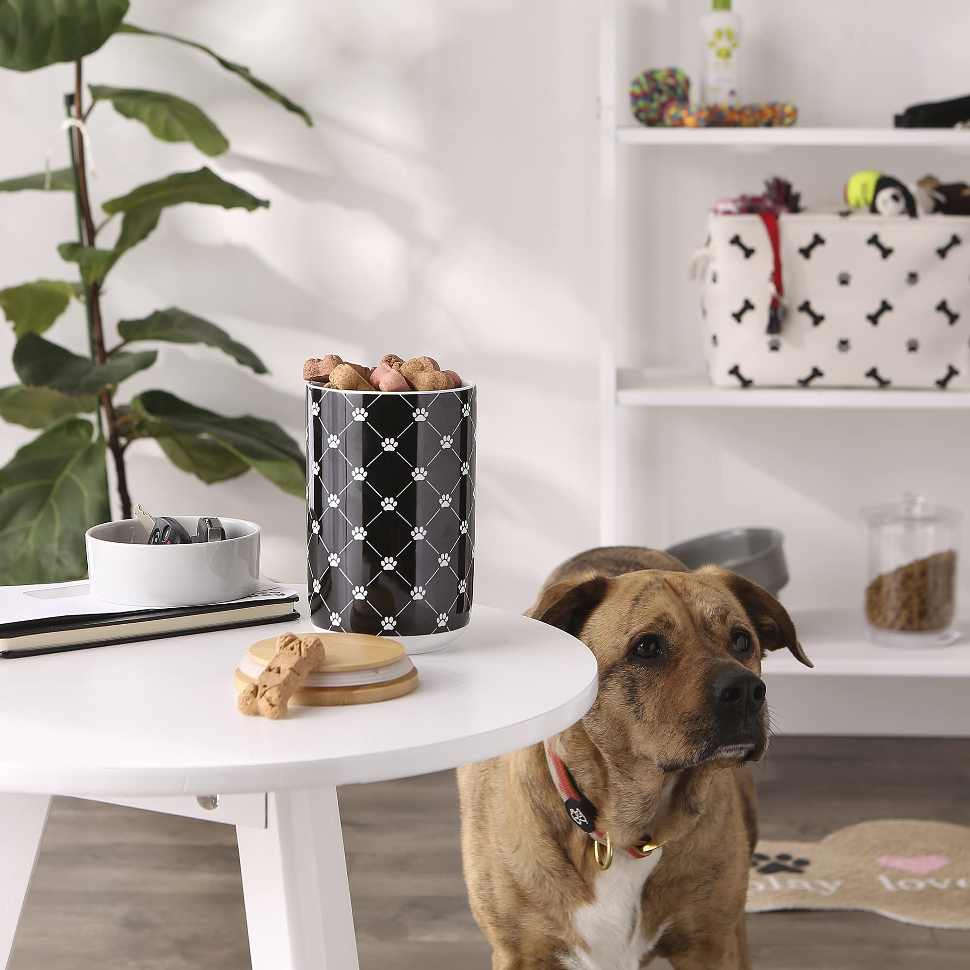 Bone Dry dog treat biscuits jar ready-to-use rewards for training sessions.