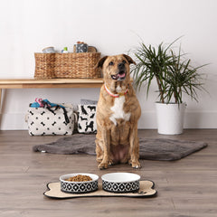 Bone Dry lattice bowl dishwasher-safe feature demonstrated in black