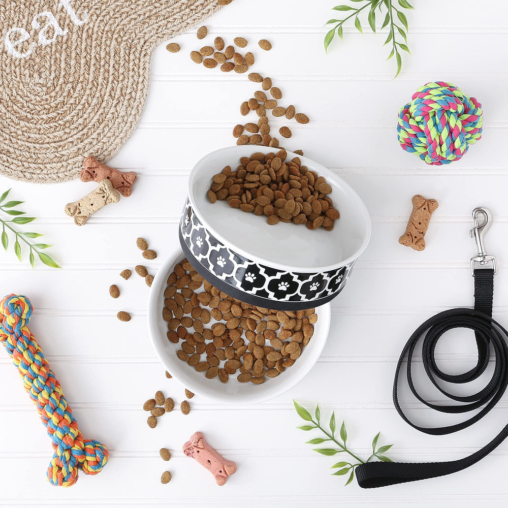 Bone Dry lattice bowl silicone rim detail highlighting anti-slip base in black