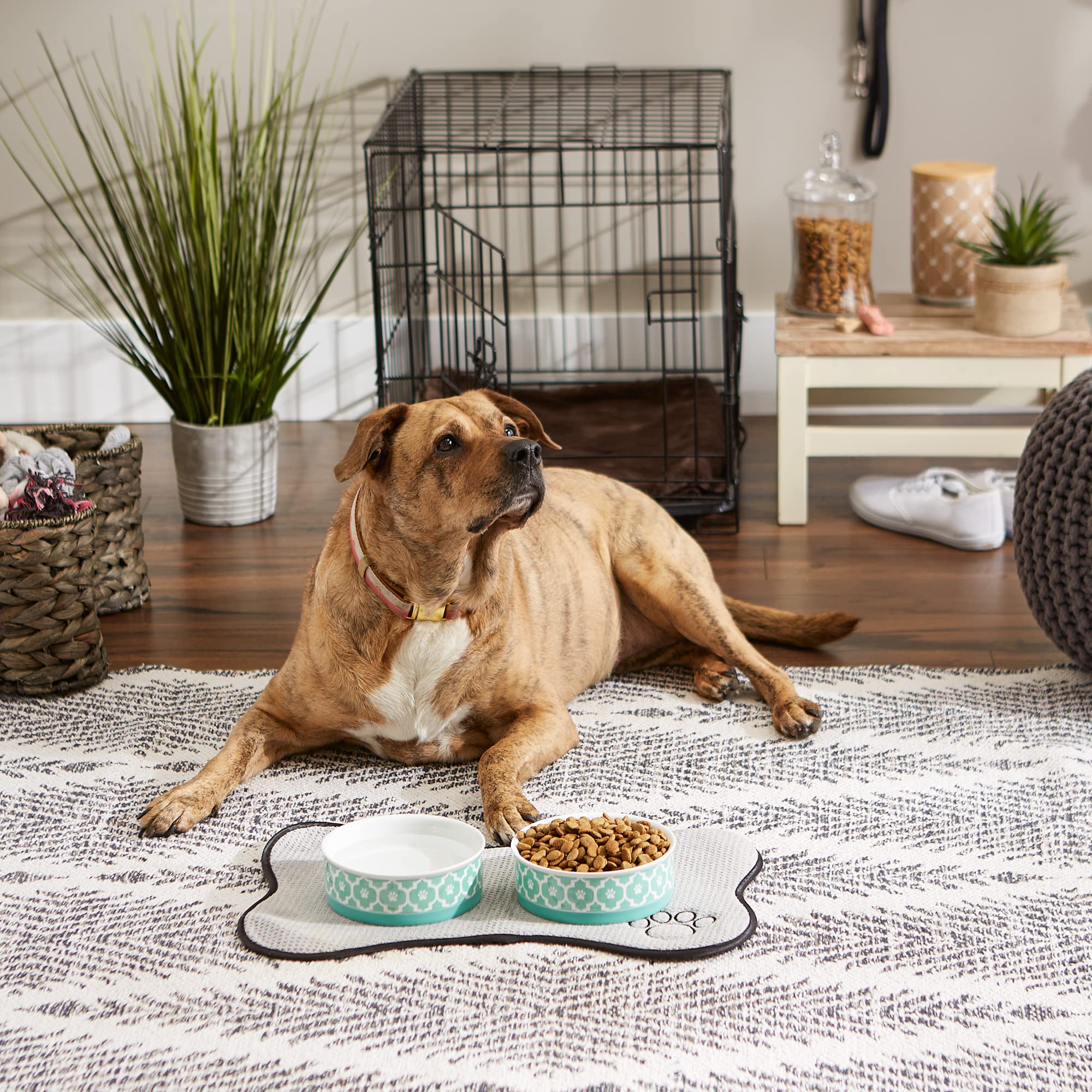 Bone Dry pet bowl set offers coordinated dining for multiple pets.