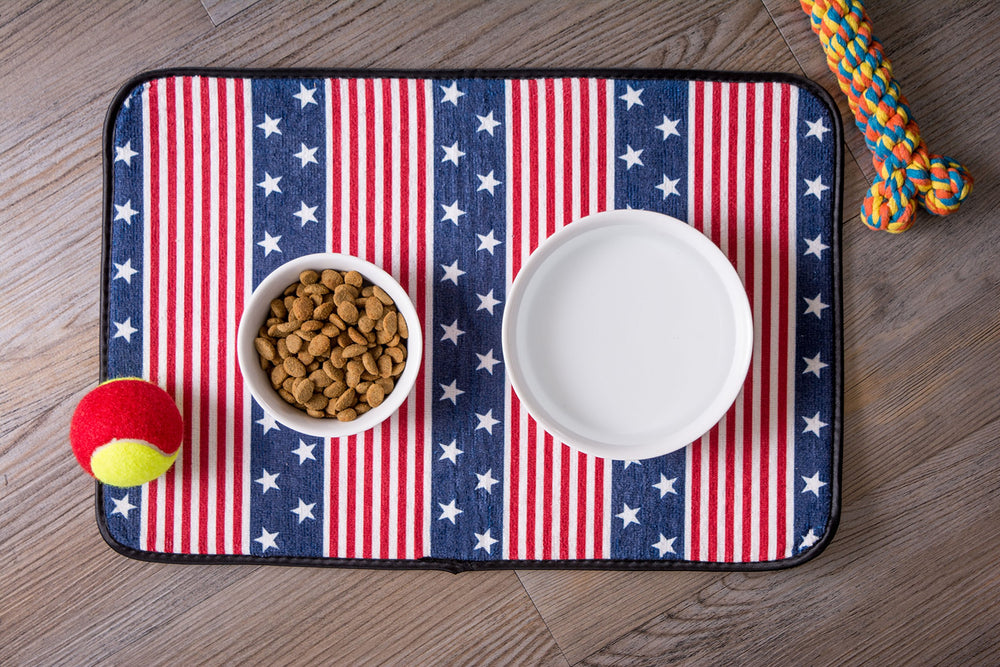 Bone Dry non-skid bowl with silicone rim to keep feeding area neat