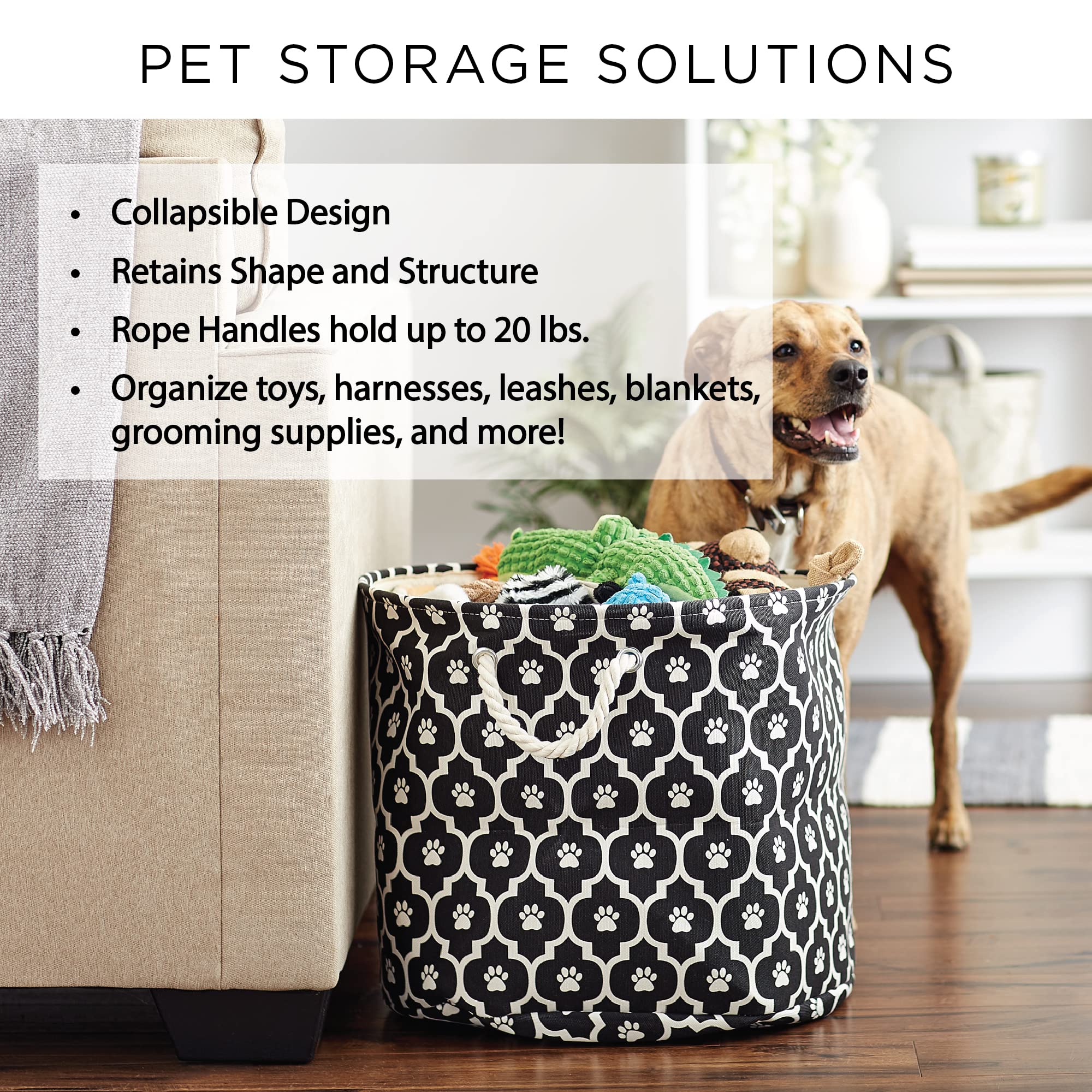 Bone Dry Paw and Bone Print Rose decorative storage fits any room