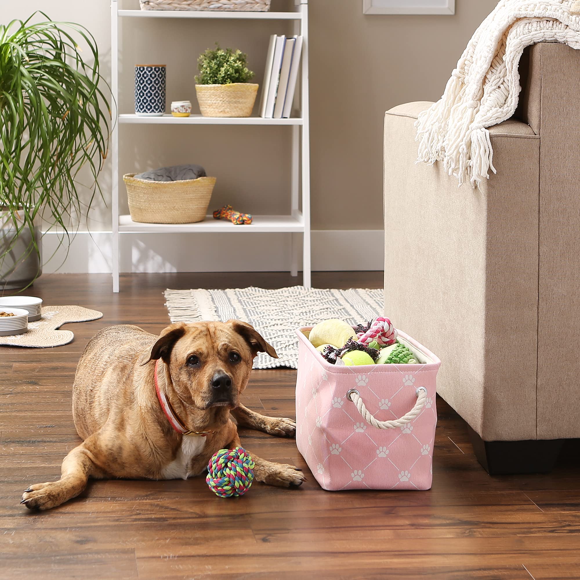 Bone Dry paw and bone pink bin stores leashes and toys for quick access.