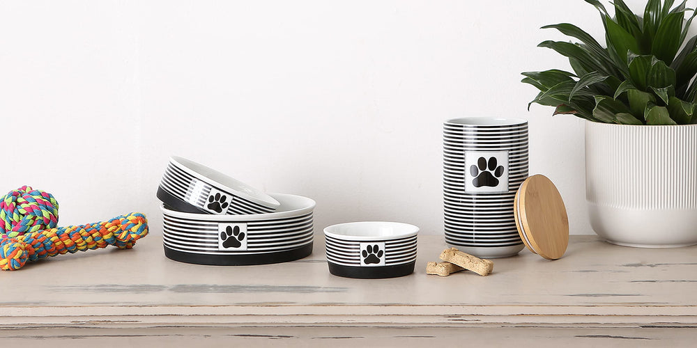 Bone Dry Paw & Patch close-up highlights glossy ceramic finish for durable pet storage
