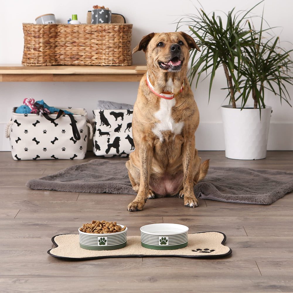 Bone Dry Paw & Patch dishwasher-safe ceramic bowls for easy cleaning after meals