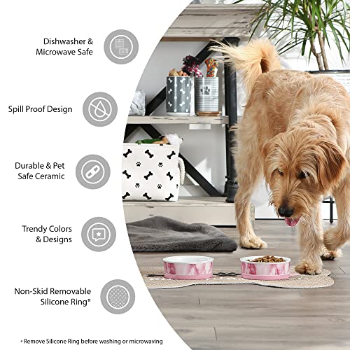 Bone Dry Paw & Patch hungry-thirsty design bowl keeps meals neat.