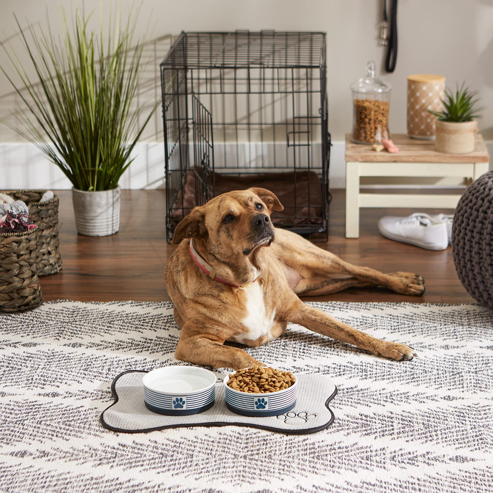 Bone Dry Paw & Patch pawprint stripe bowl suits everyday pet meals.