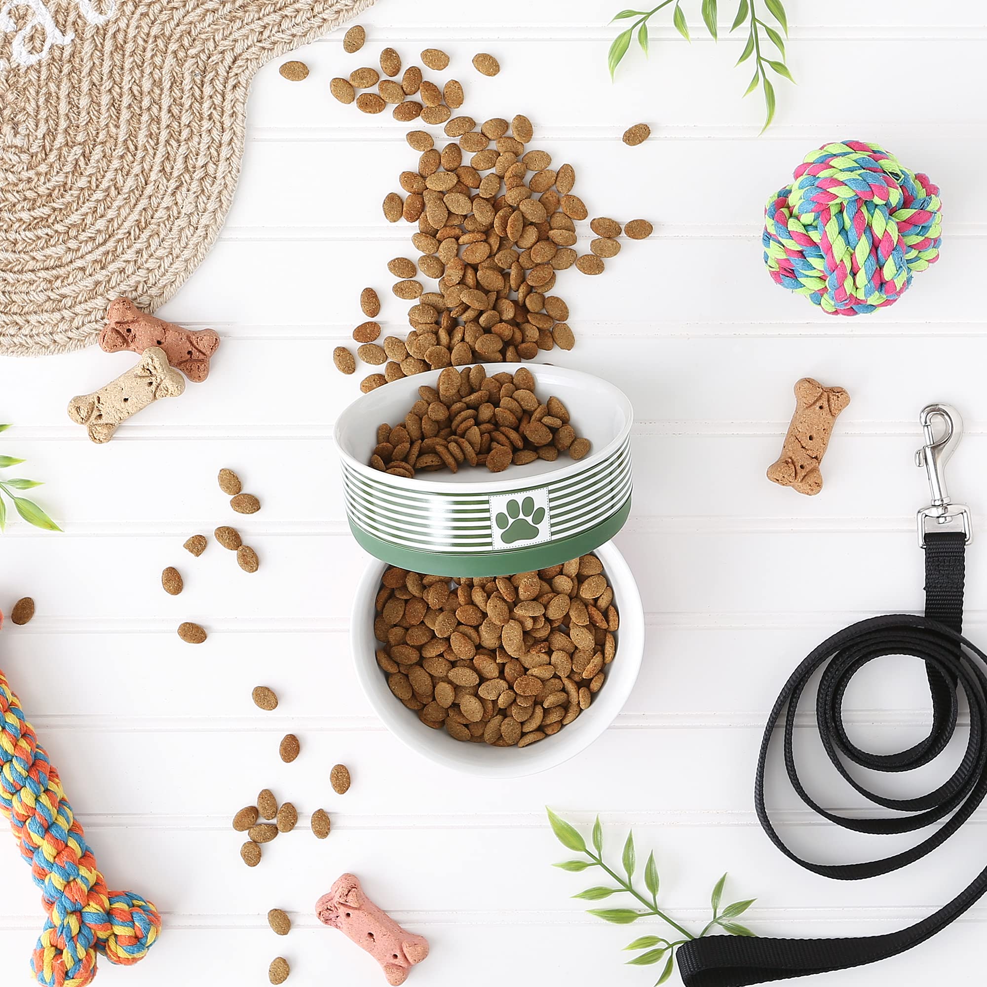 Bone Dry Paw & Patch porcelain dish with non-slip rim prevents sliding during feeding