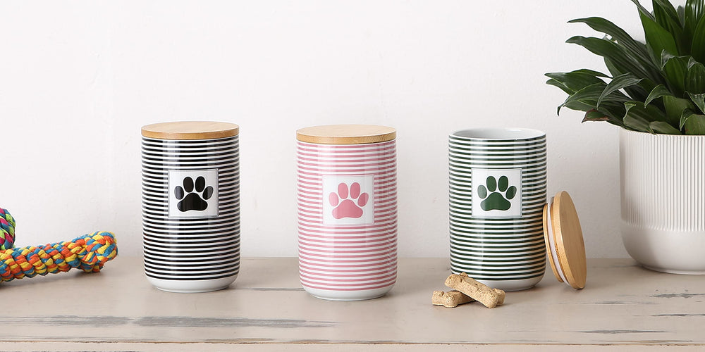 Bone Dry Paw & Patch product group shot demonstrates versatile storage and home décor compatibility
