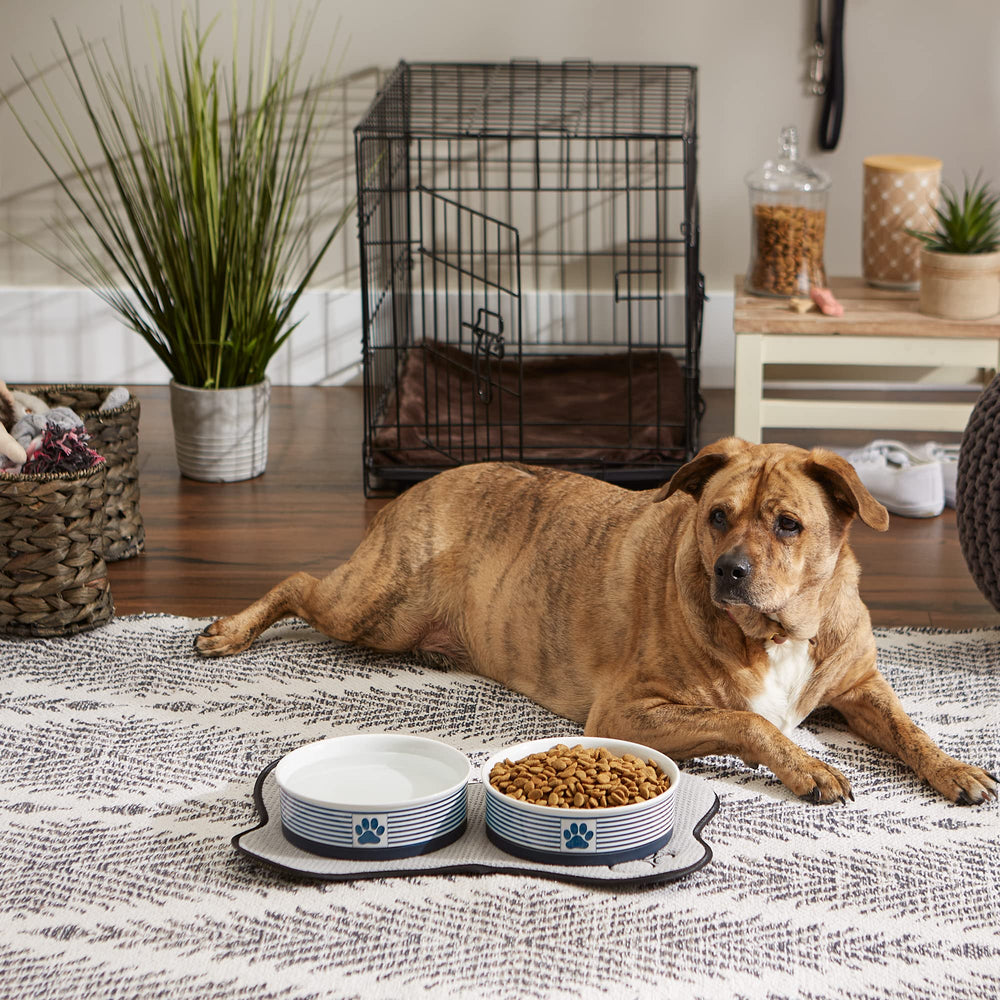 Bone Dry Paw & Patch bowls meet Prop 65 safety standards for safety during meals