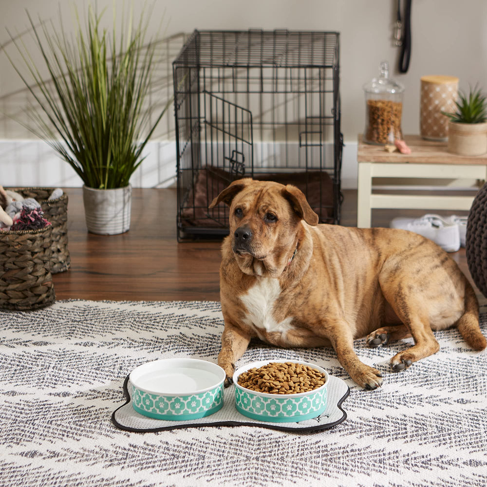 Bone Dry lattice aqua-bowl image showcases versatile kitchen-friendly pet dish.