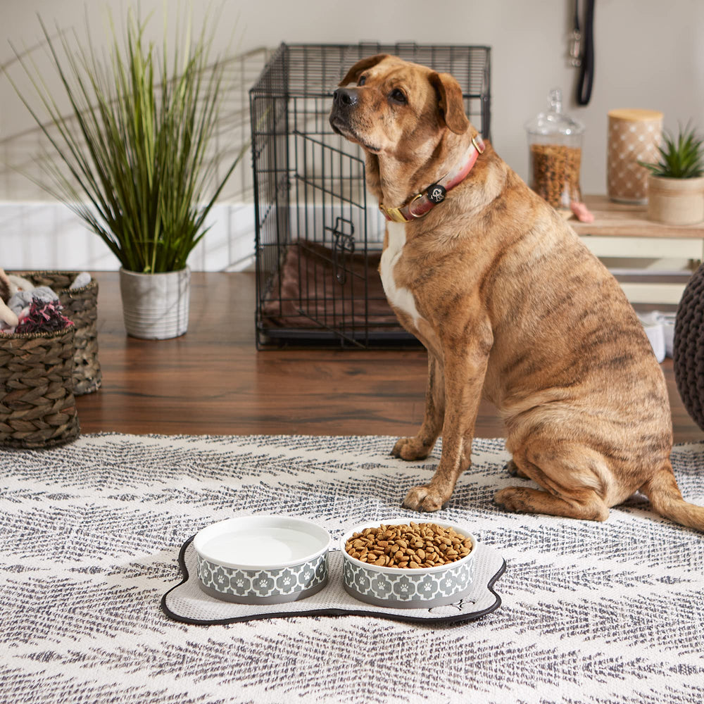 Bone Dry paw print bowl lattice gray set demonstrates non-slip rim to reduce floor mess.