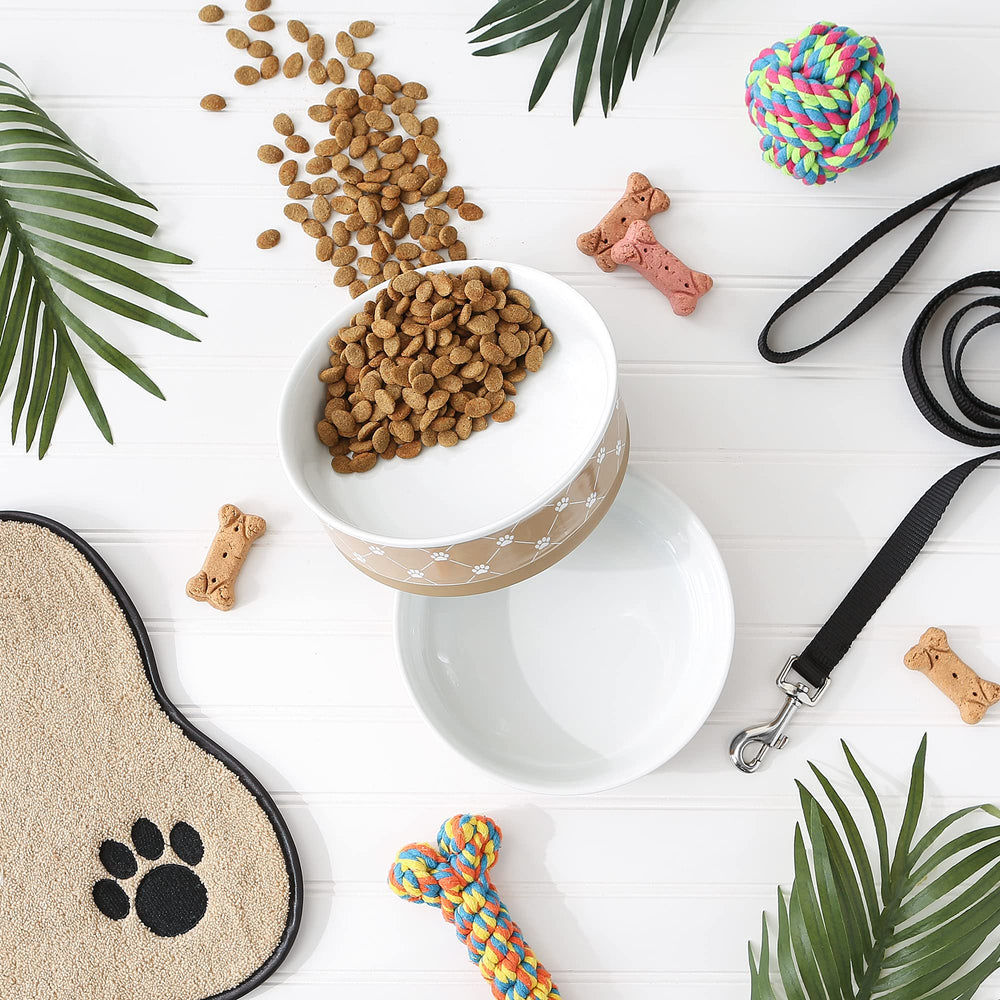 Bone Dry paw print bowl with non-slip silicone bottom reduces spills.