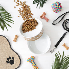 Bone Dry paw print bowl with non-slip silicone bottom reduces spills.