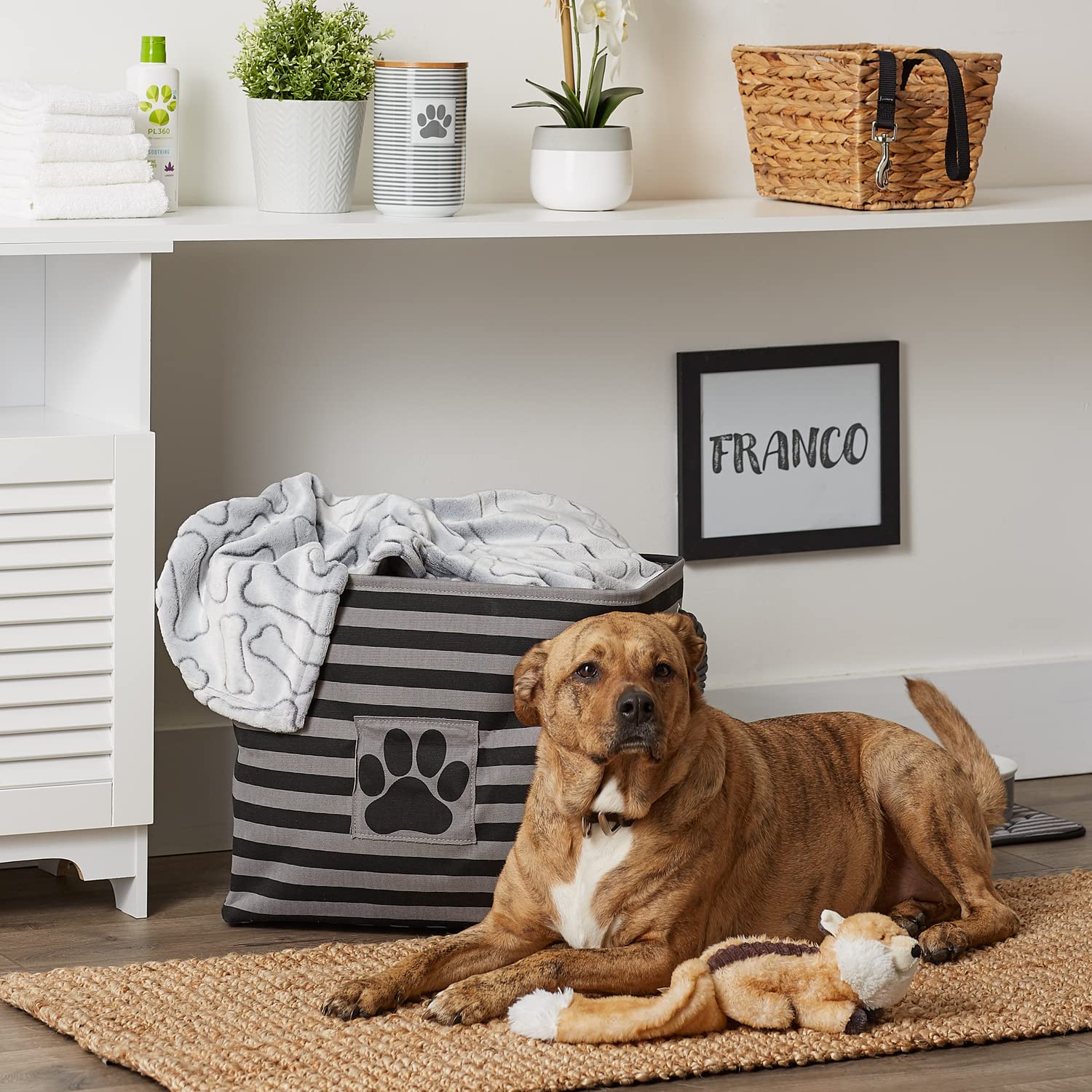 Bone Dry pet storage bin striped paw patch black in-room setup demonstrates decor-friendly organization.