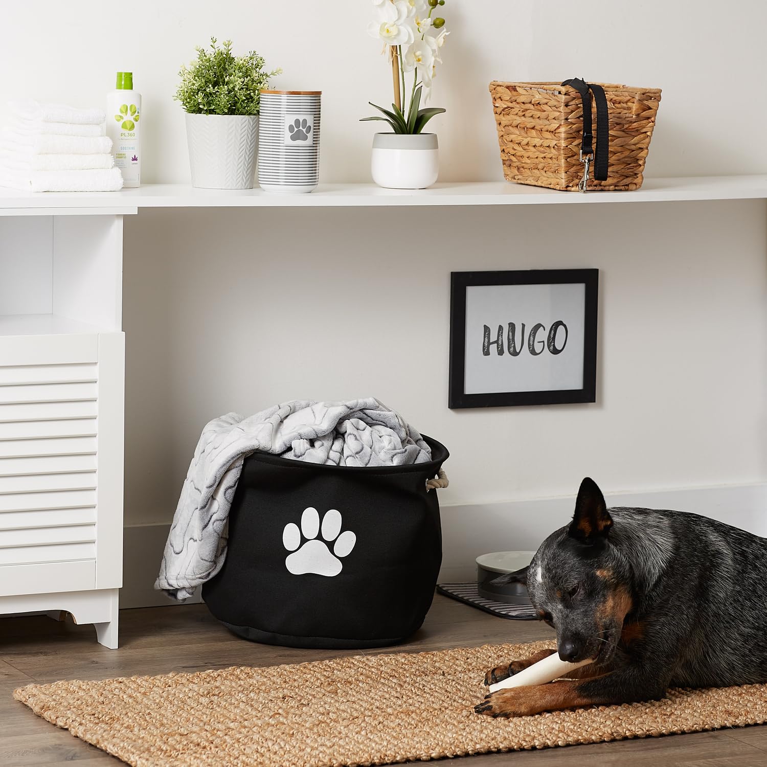 Bone Dry round bin in a cozy corner, showing easy-collapse feature when not in use