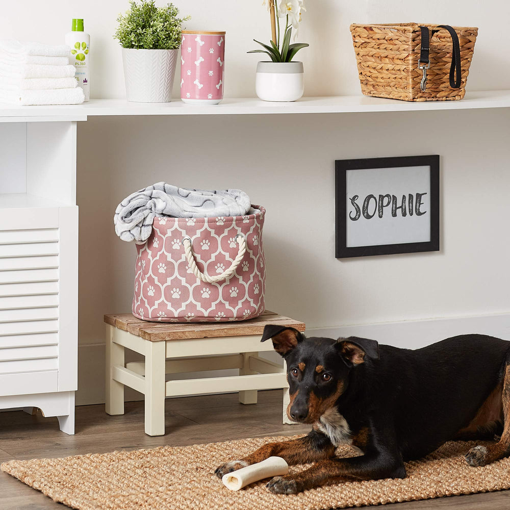 Bone Dry bin pictured with dog leash, toys, and blanket