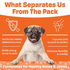 Boneo orthopedic veterinarian recommendation note suggests use for dogs of all sizes.