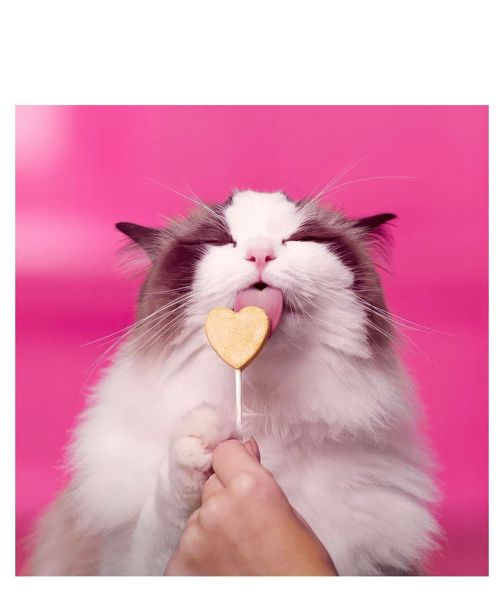 Bonkers Purr Pops individually wrapped treats emphasize freshness and on-the-go rewards.