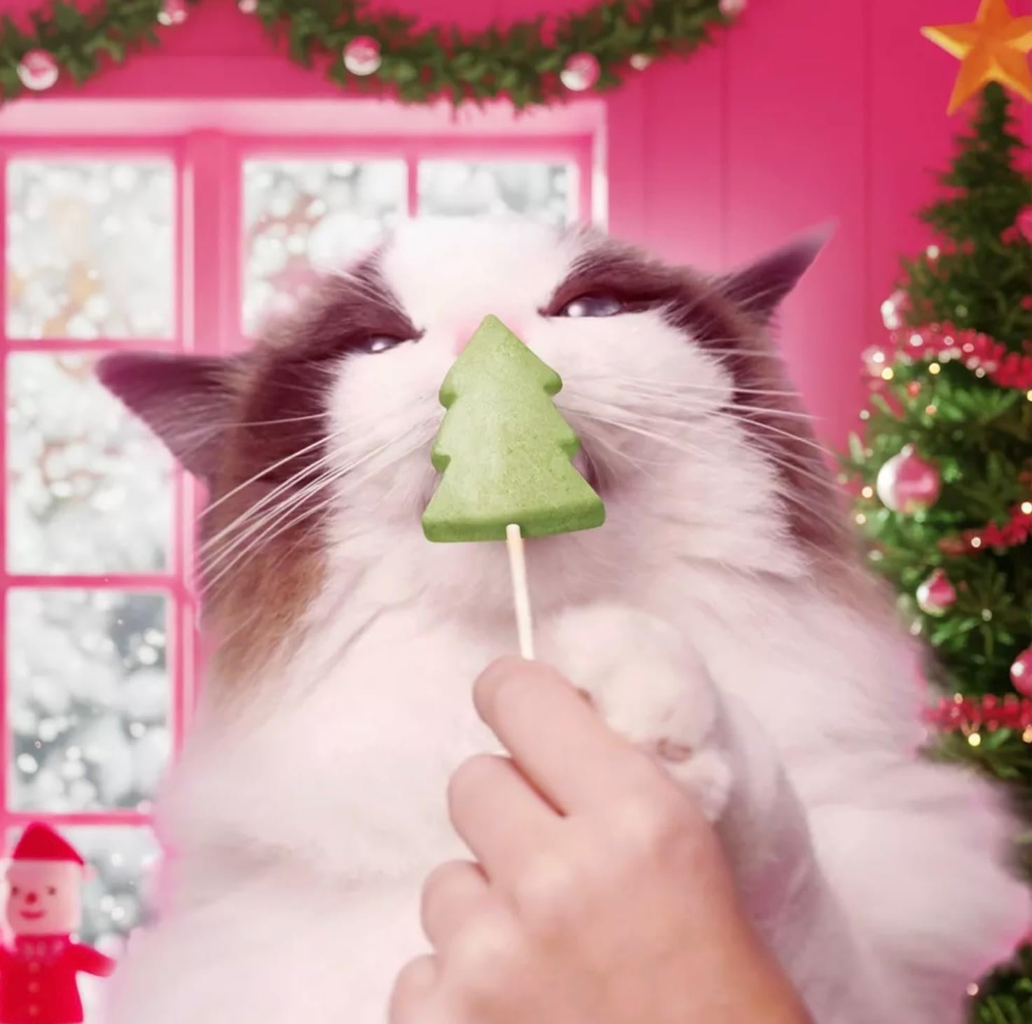 Bonkers Purrpops bola-juguete pom pom para gatos activos.