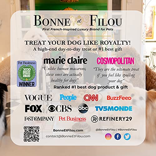 Bonne et Filou-dog-birthday-gift-cupcakes delightful present for celebrations