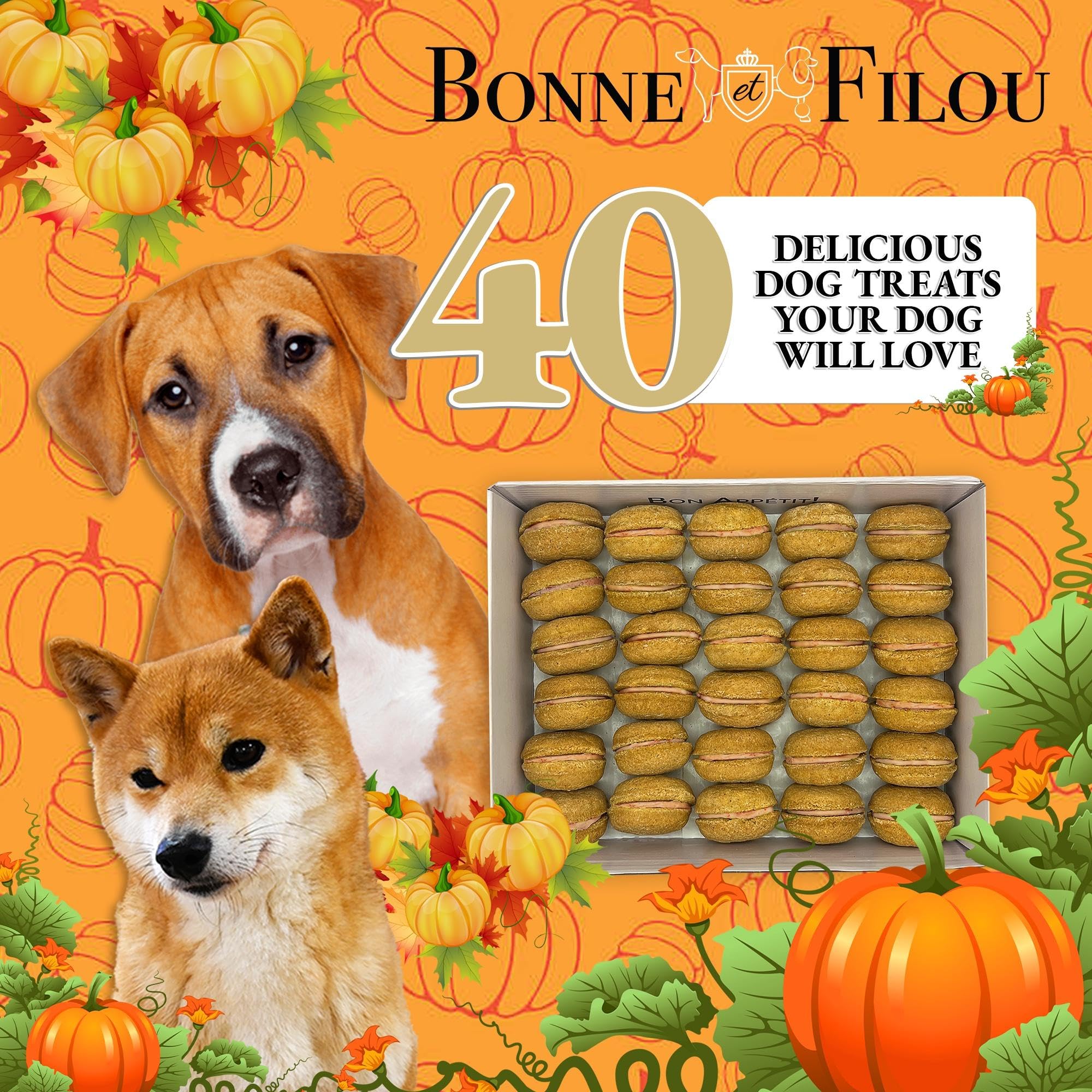 Bonne et Filou dog birthday gift pack, a festive present for a pup.