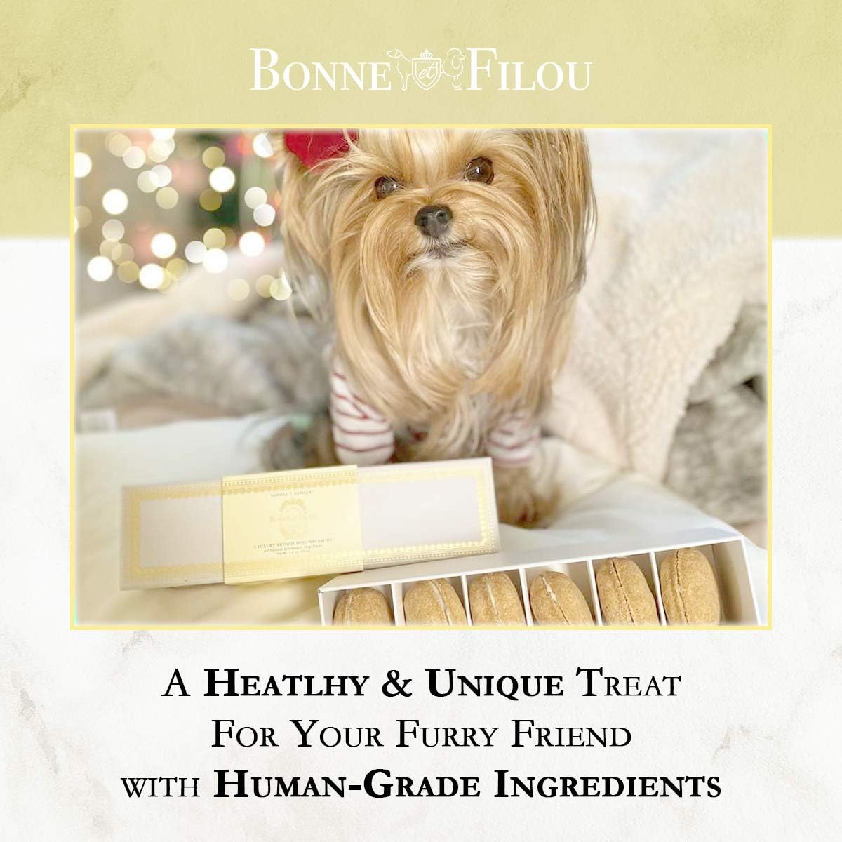 Bonne et Filou dog birthday gift vanilla cupcakes — perfect treat for special occasions
