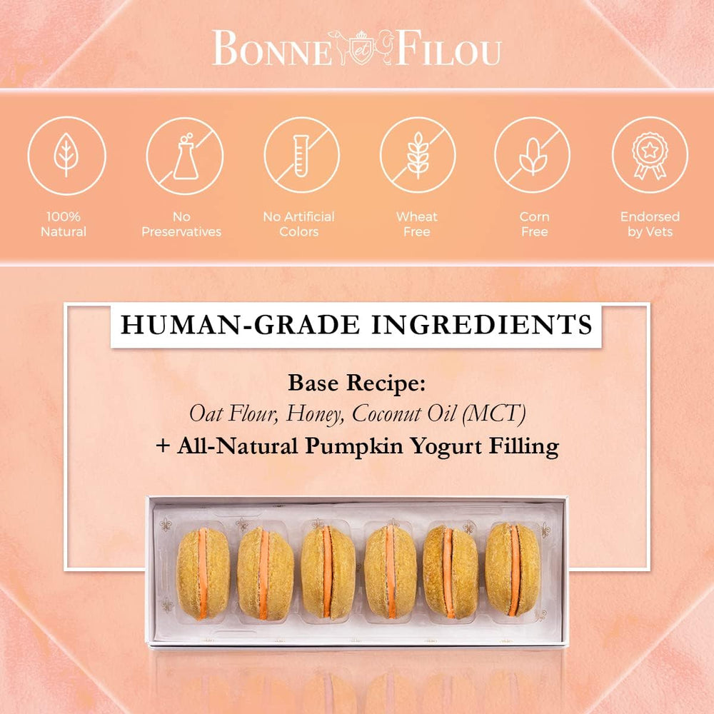 Bonne et Filou gourmet-dog-macarons ideal for birthday treats