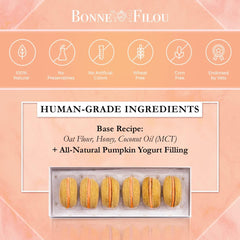 Bonne et Filou gourmet-dog-macarons ideal for birthday treats