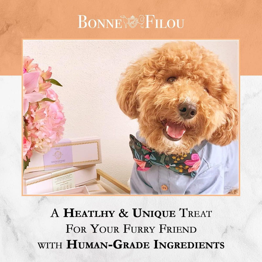 Bonne et Filou medium-large-dog-treats designed for bigger breeds