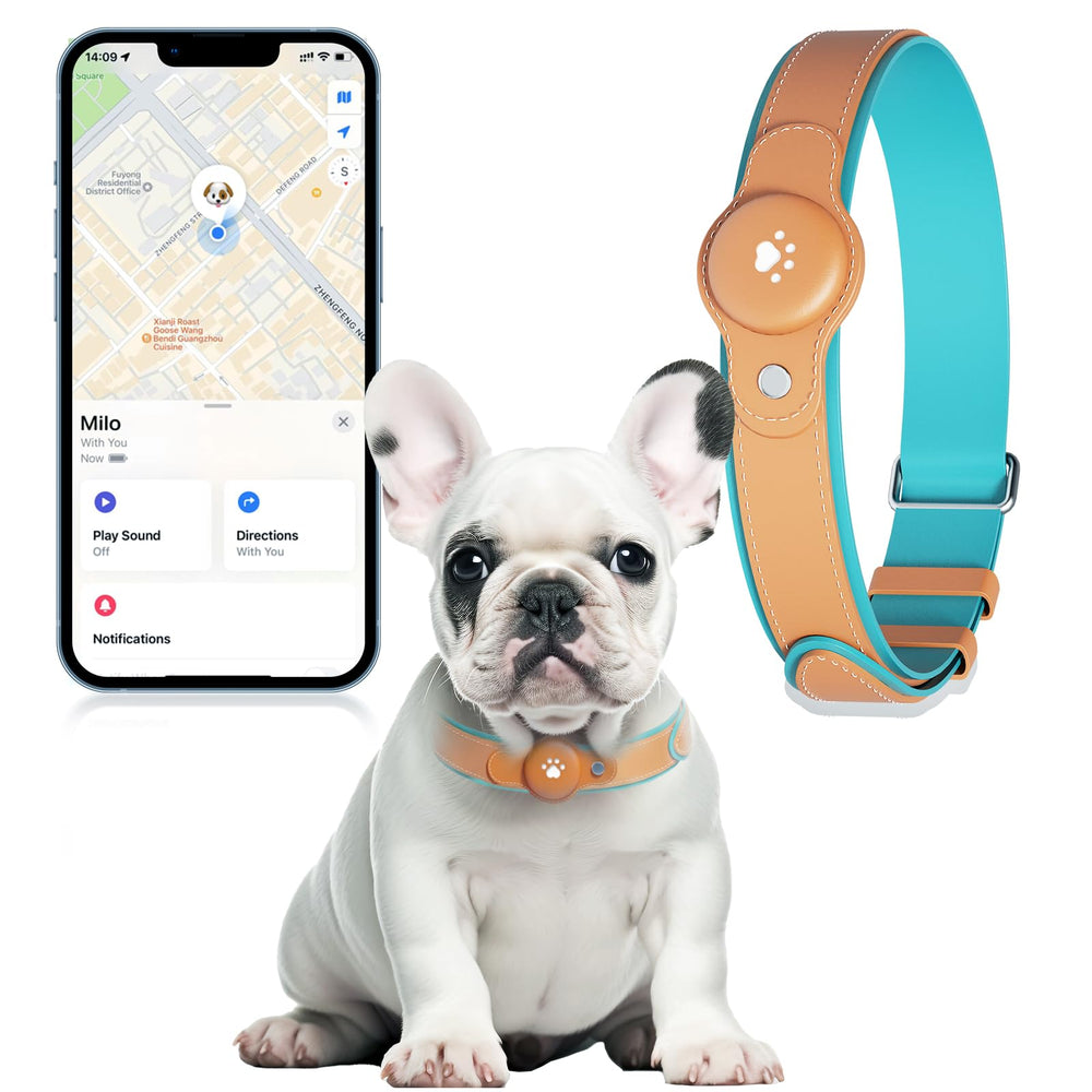 BONSO dog-tracker-collar-on-dog shows real-time location for safer walks