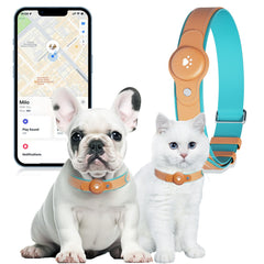 BONSO live tracking collar shows real-time location for quick pet recovery