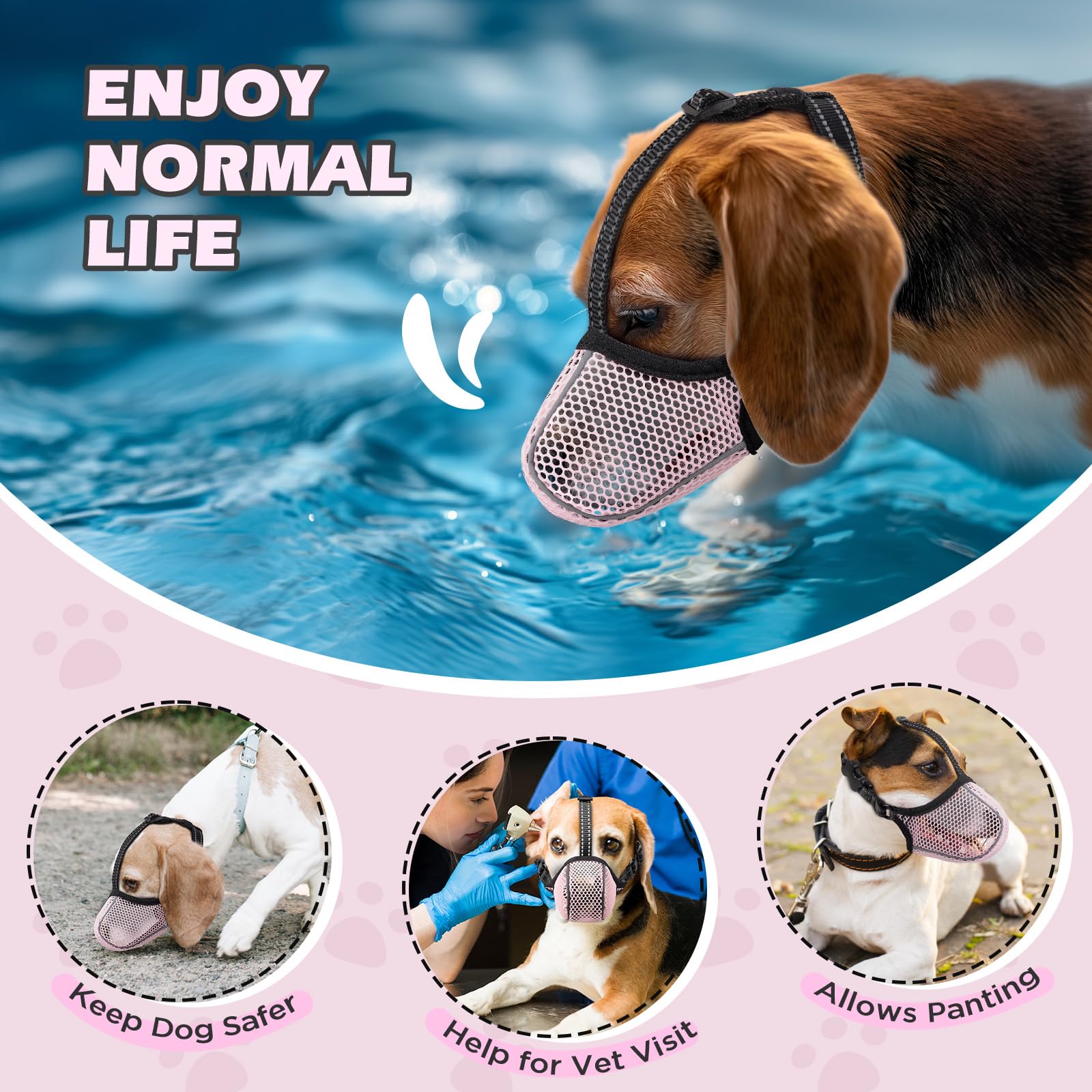BONTHEE muzzle during grooming and vet visits for safety