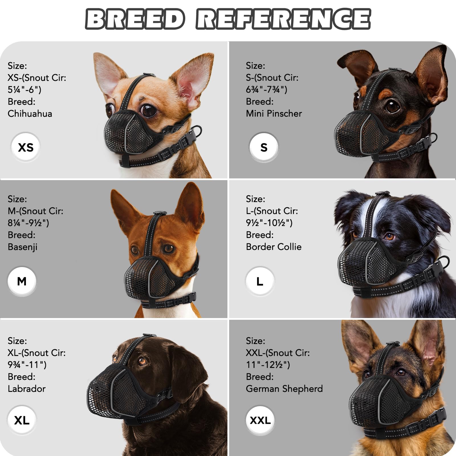 BONTHEE muzzle with reflective edges enhances safety during evening walks.