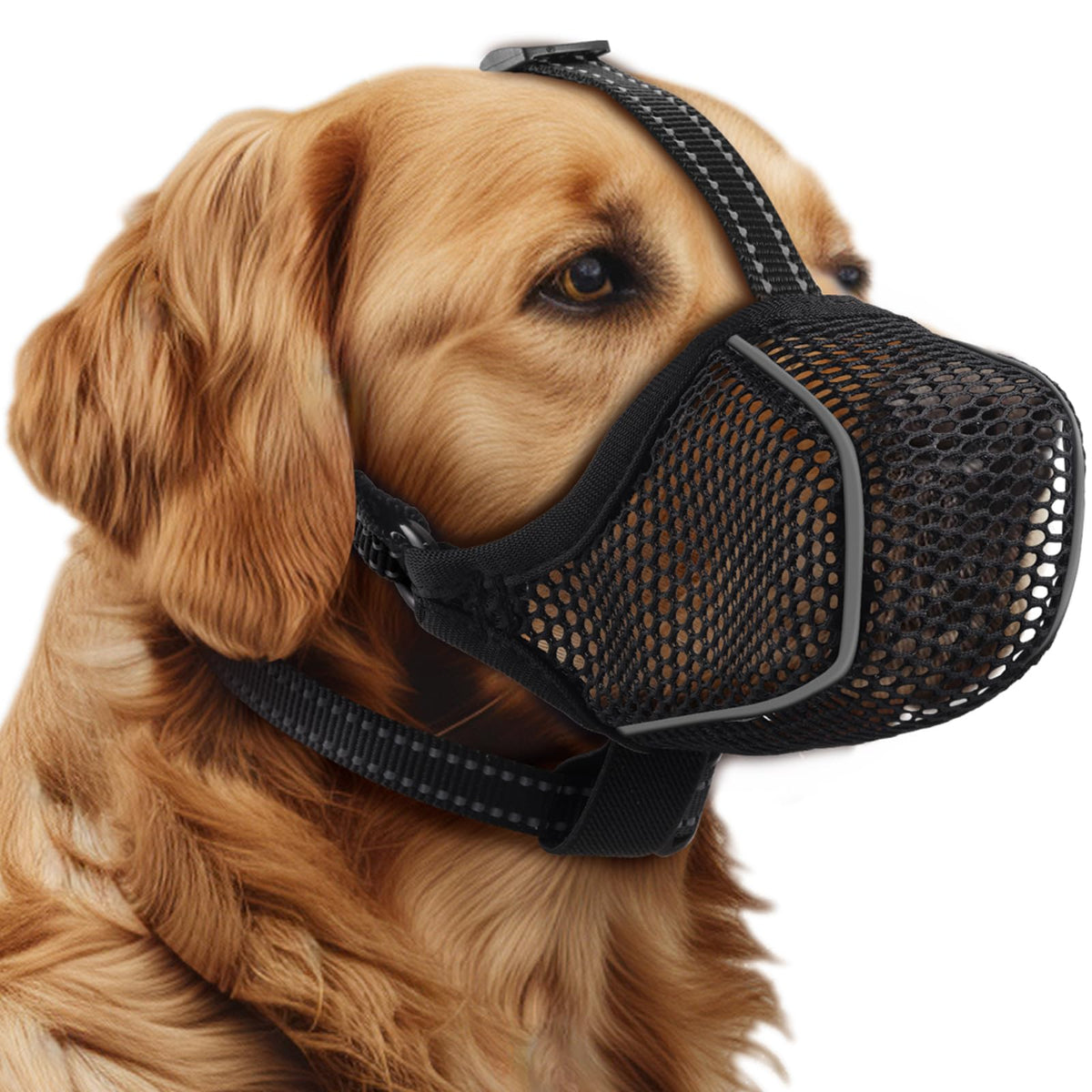 BONTHEE dog muzzle close-up shows breathable mesh for comfortable wear.