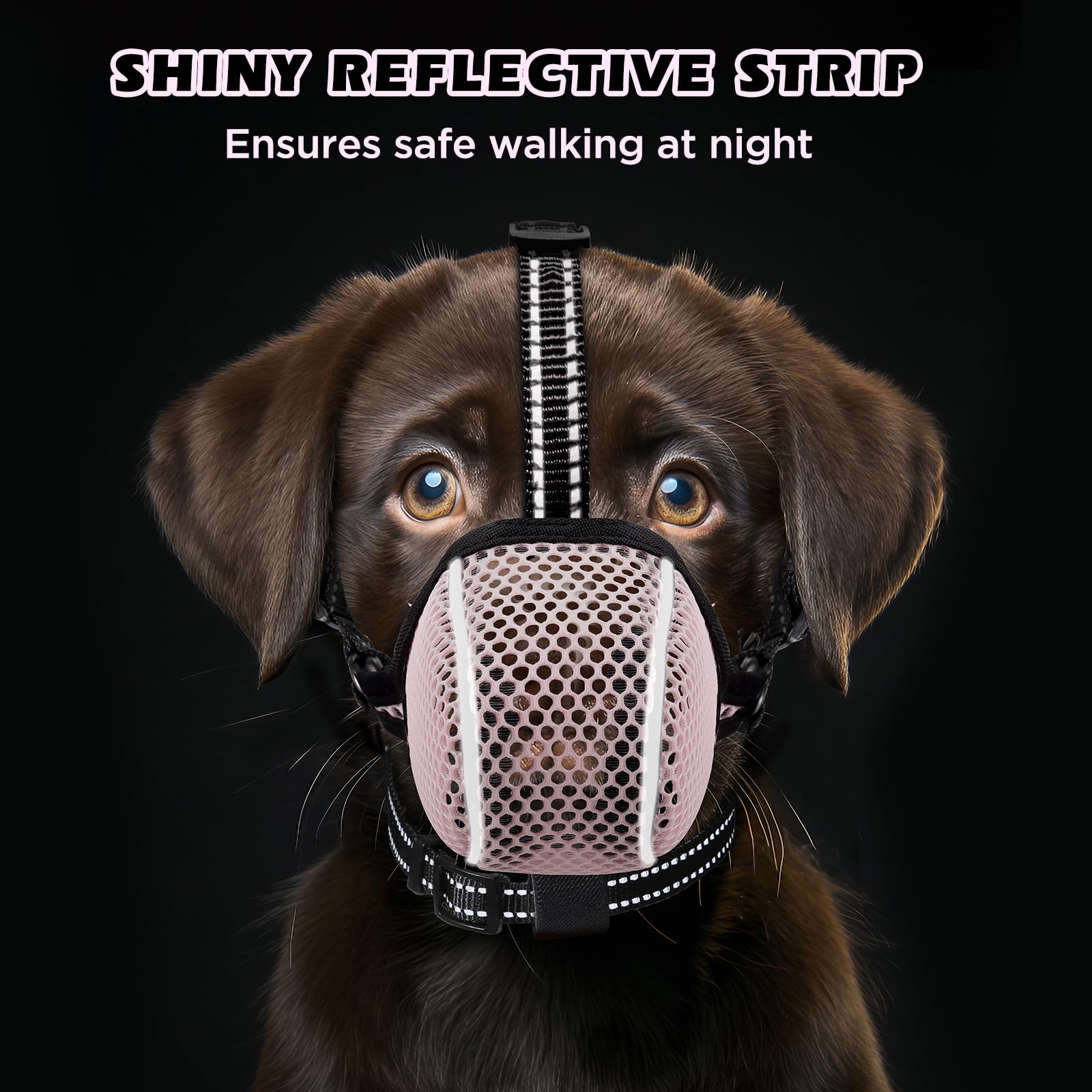 Bonthee foldable muzzle folded for pocket storage.