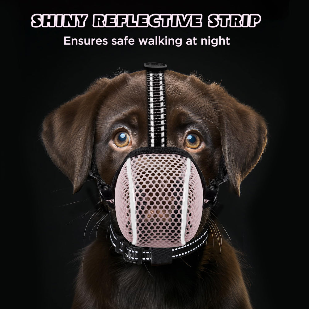 Bonthee foldable muzzle folded for pocket storage.